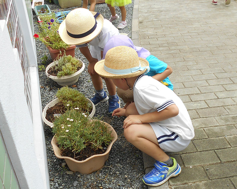 校区とのネットワーク