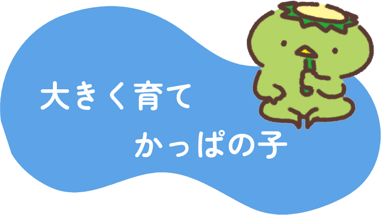 大きく育てかっぱのこ